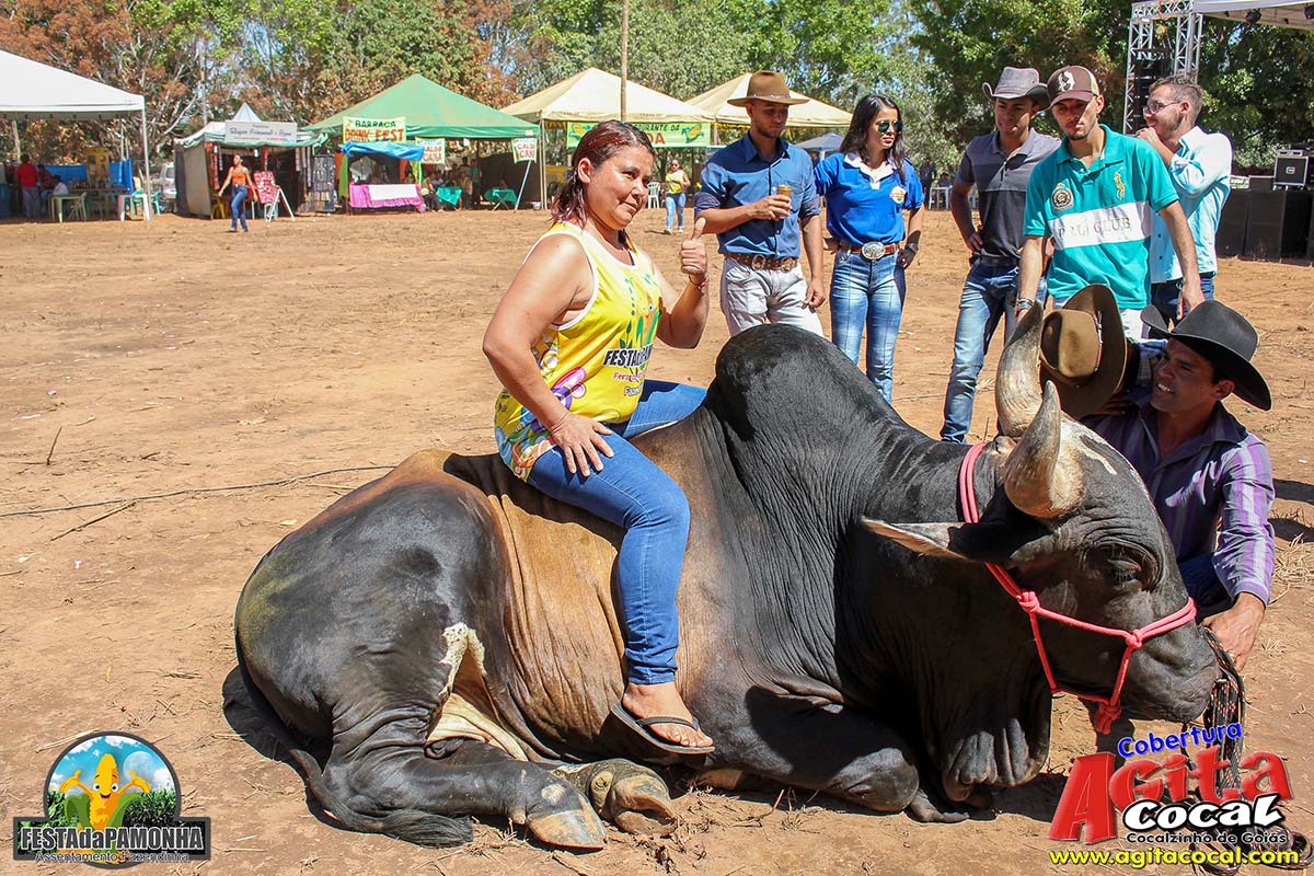 Festa da Pamonha (3 Dia)